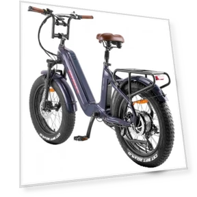 Electric Bike — Electric Self-Balancing Scooters, Fafrees
