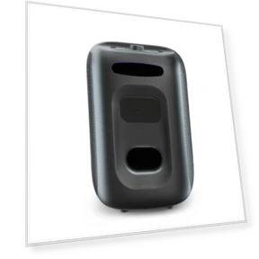 Karaoke Speaker with Wireless Microphones — PA Systems, Tronsmart