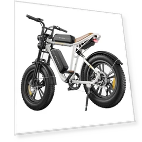 Electric Bike with Dual 13Ah Battery — Batteries, ENGWE