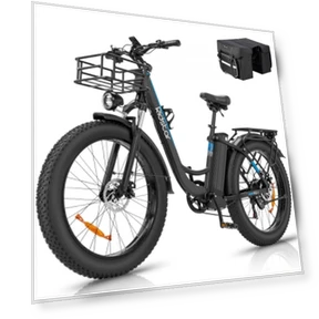 Electric Bike — Electric Vehicles, Ridstar