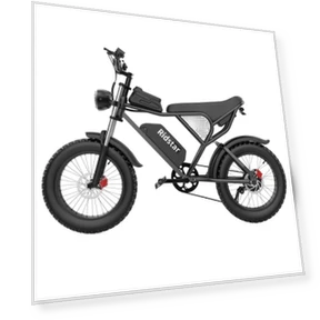 Electric Bike — Electric Vehicles, Ridstar