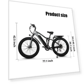 Electric Bike — Electric Self-Balancing Scooters, CMACEWHEEL