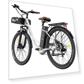 Lasting Electric Bike — Electric Self-Balancing Scooters, Fafrees