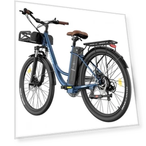 Lasting Electric Bike — Electric Self-Balancing Scooters, Fafrees