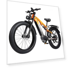 Electric Bike — Electric Vehicles, RANDRIDE