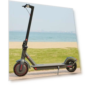 Electric Scooter — Electric Vehicles, Oakeroo