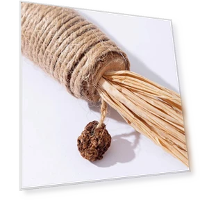 Extra Large Silvervine Cat Toy — Dental Care
