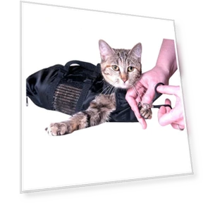 Pet Bath Kit — Bath Accessories