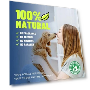 Teeth Cleaning Spray — Dental Care