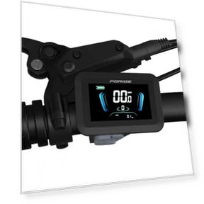 Electric Bike — Electric Self-Balancing Scooters, Foride
