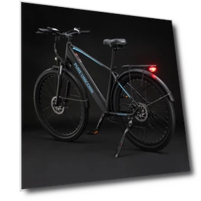 Electric Bike — Electric Vehicles, PURE UNICORN