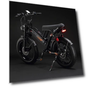 Electric Bike — Electric Vehicles, PURE UNICORN