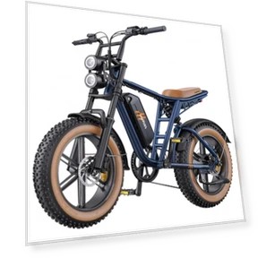 Electric Bike MileZoom 1 — Electric Vehicles, HillMiles