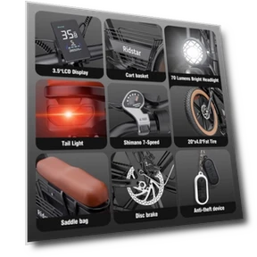 Electric Bike — Electric Vehicles, Ridstar