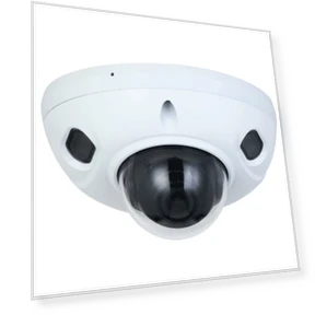 Outdoor Dome IP Camera — Dome Surveillance Cameras, Dahua