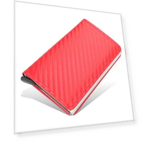 RFID Protected Credit Card Holder — Travel Wallets, Nice House