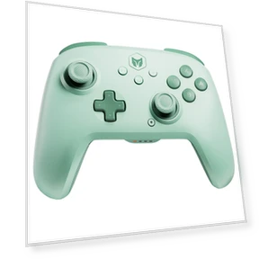 Wireless Game Controller — Gaming Controllers, BIGBIG WON