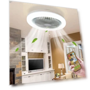 Ceiling Fan with Light and Remote Control — Ceiling Fan Lighting Solutions, Sexy Princess