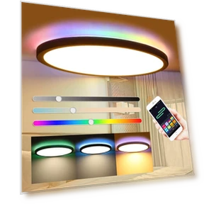 Smart LED Ceiling Light — Overhead Lighting, Actually lighting