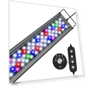 Aquarium with LED Lighting — Lights, AniWorld