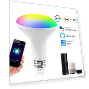 Smart LED Bulb — LED, RuKing
