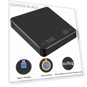 Electronic Scales with Built-in Battery Charger — Precision Weighing Solutions, Xing Hui