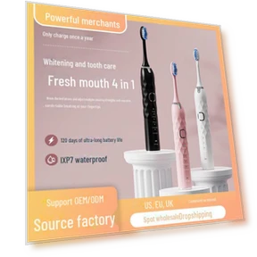 Electric Toothbrush with Magnetic Levitation — Electric Toothbrush Heads, Dental Clinic
