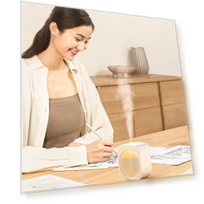 Mini Humidifier for Home Office — Air Moisturizers, Holland Ham
