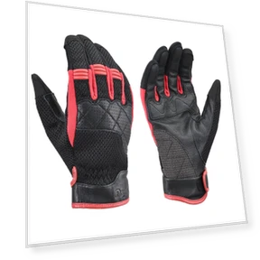 Motorcycle Gloves — Gloves, Daytona