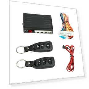 Keyless Access Controller — Accessories, Baby cheetah
