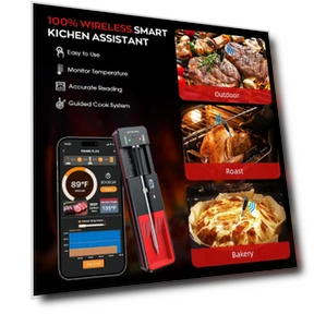 Wireless Meat Thermometer with Bluetooth — Thermometers, Daily necessities-V