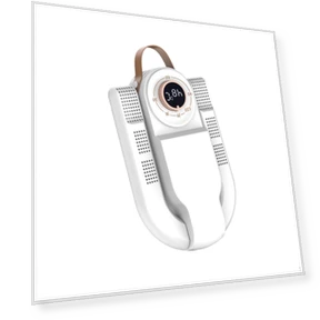 Compact Smart Shoe Dryer — Shoe Dryers, Wisenest