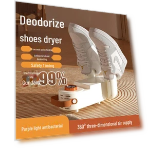 Smart Shoe Dryer — Shoe Dryers, Warm Land