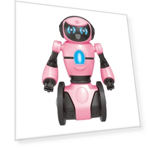 WiFi Smart Robot Camera — Security & Surveillance Robots, HarvestOct