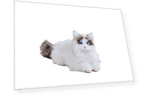 FAVE KIMIT Ragdoll Pet Robot Cat — Interactive Animal Companions, SEGA