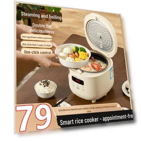Smart Micro Rice Cooker — Rice Cooking Essentials, ElectroCN