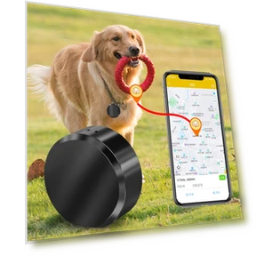 Magnetic Anti-Theft Real-Time Locator — Location Tracking Devices, Auto Accessories Home
