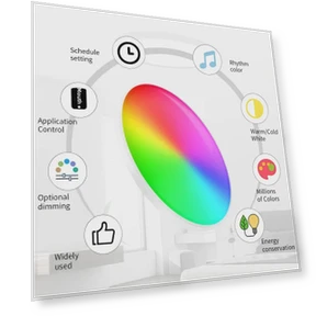Ultra-Thin RGB CW Ceiling Light — Overhead Lighting, Got Now