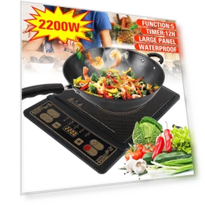 Waterproof Electric Induction Cooker — Cooking Surfaces, Ideal World
