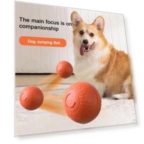 Interactive Smart Ball for Pets — Cat Playthings, yuezong