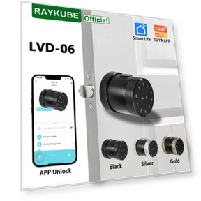 Smart Lock with Fingerprint — Locks, RAYKUBE
