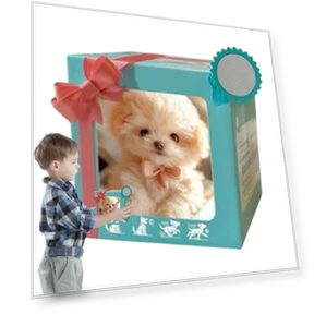 Wagging Tail Plush Robot Dog — Interactive, Shenhu Win
