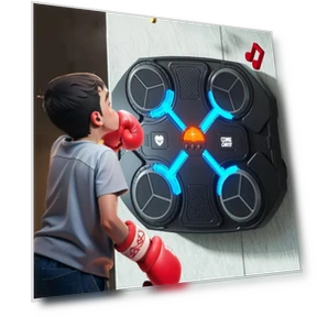 Electronic Boxing Target — Boxing Training Gear, Ruishi