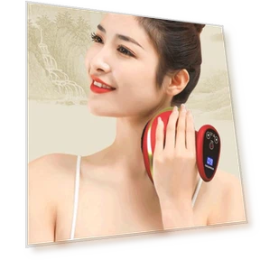 Intelligent Electric Massager — Back Relief Solutions, Yousheng Electronic Products