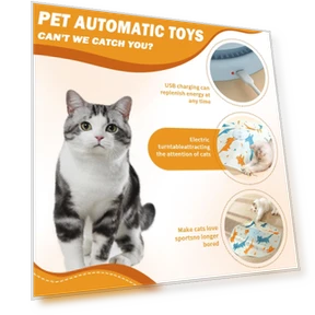 Interactive Cat Toy — Cat Playthings, Challenge