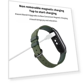 Magnetic Charging Cable — Fitness Bands, Loitering Bees
