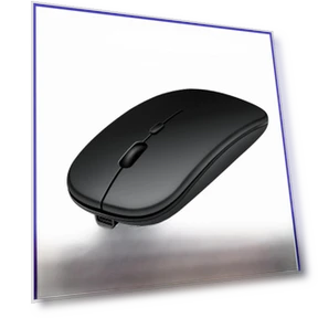 Silent Dual-Mode Wireless Bluetooth Mouse — Mouse Pads, WoW Home