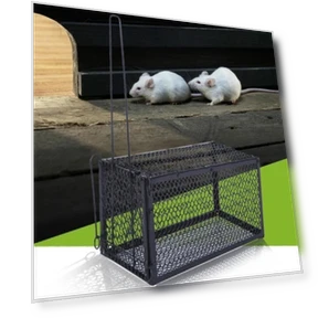 Smart Self-Locking Mousetrap — Traps, Lansoon Literary Girls-064