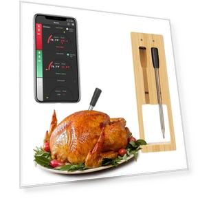 Wireless Smart Meat Thermometer — Thermometers, Daily necessities-V