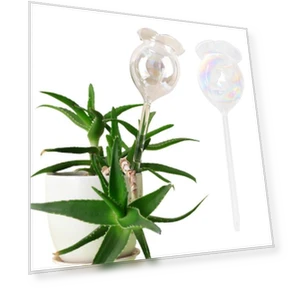 Glass Flower Watering Bulbs — Tree Care, HOMEKA